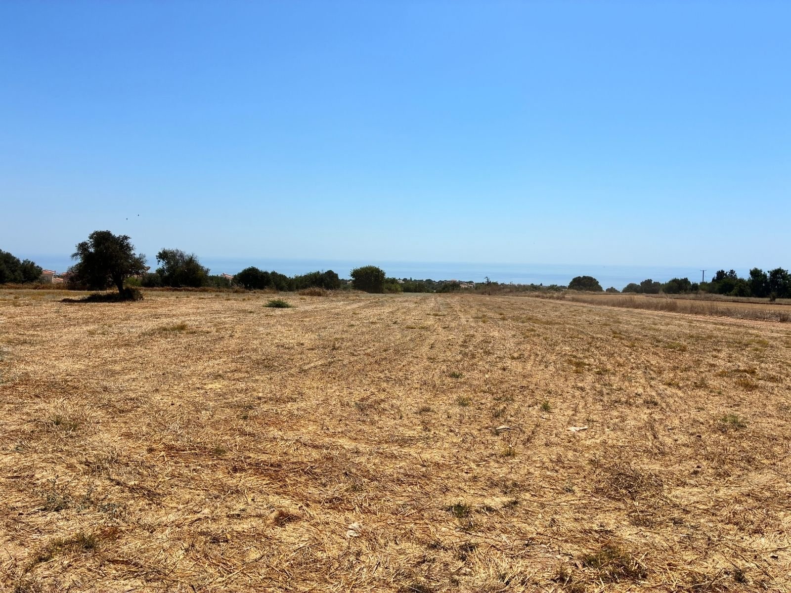 Large plot of residentual LAnd in Tala tremeithousa paphos