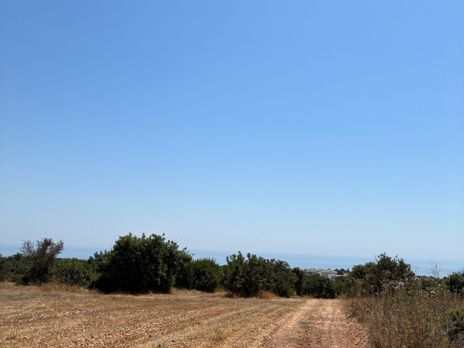 Large plot of residentual LAnd in Tala tremeithousa paphos