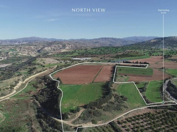 Land in Kouklia