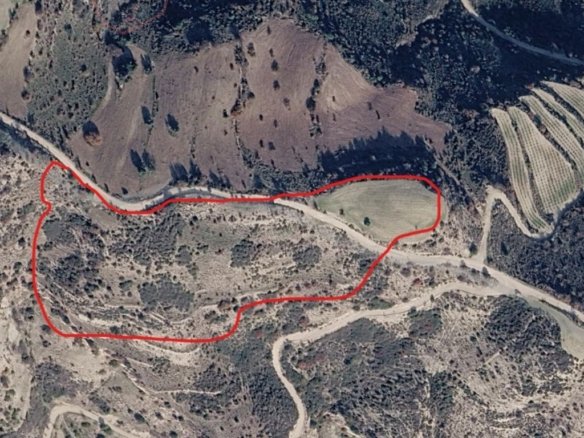 Agricultural Land for Sale in Trachypedoula