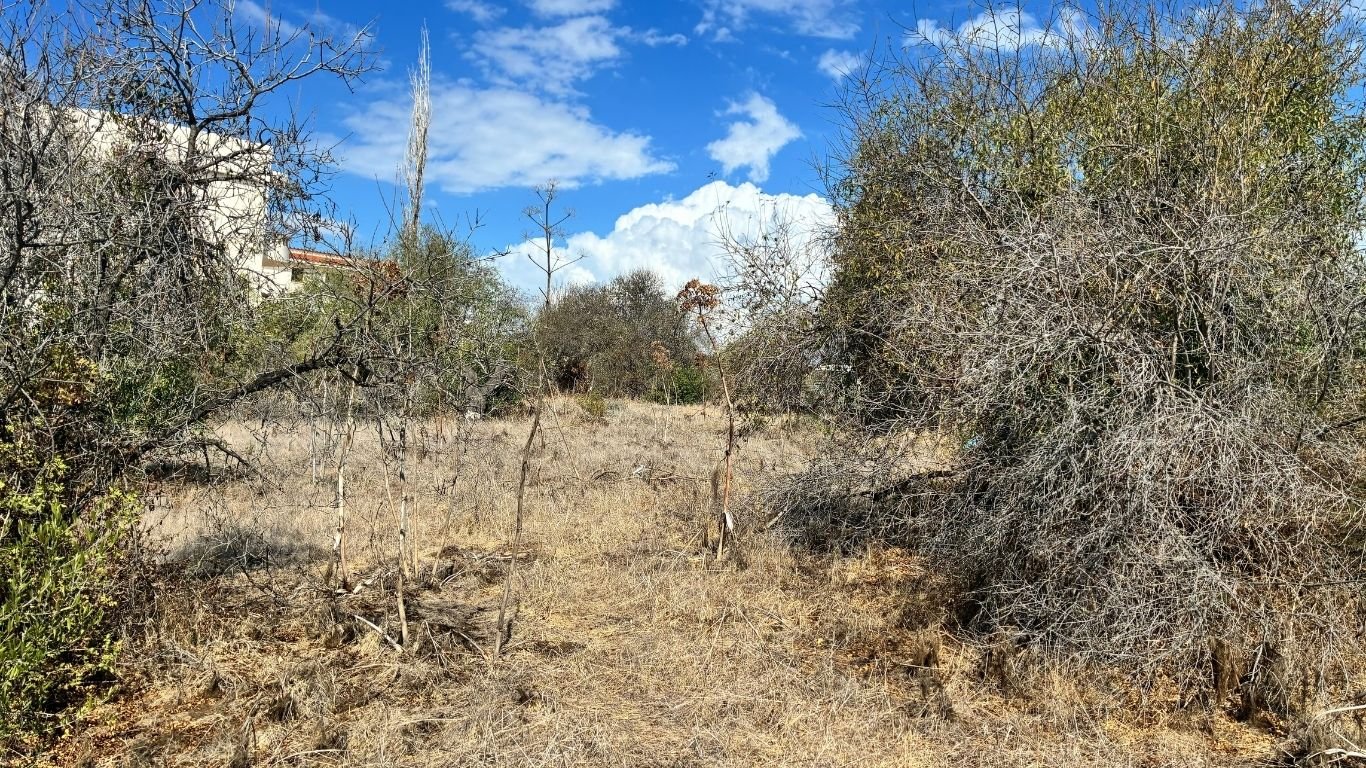 2 Bedroom Cypriot style Bungalow on a Large plot in Konia, Paphos 2 Bedroom Cypriot style Bungalow on a Large plot in Konia, Paphos