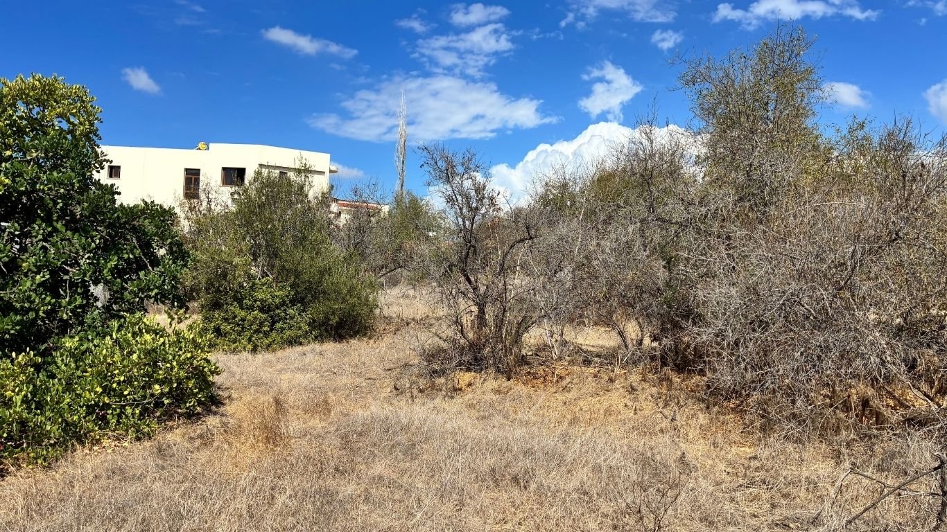 2 Bedroom Cypriot Bungalow on a Large plot in Konia, Paphos 2 Bedroom Cypriot Bungalow on a Large plot in Konia, Paphos