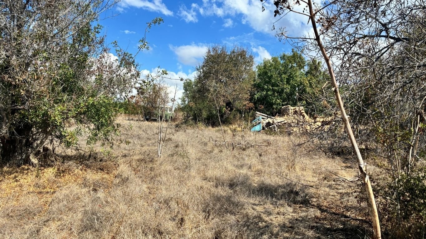 2 Bedroom Cypriot style Bungalow on a Large plot in Konia, Paphos 2 Bedroom Cypriot style Bungalow on a Large plot in Konia, Paphos