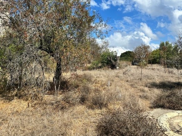 2 Bedroom Cypriot style Bungalow on a Large plot in Konia, Paphos