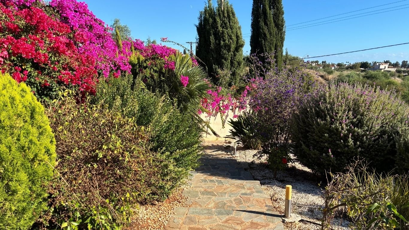3 Bedroom Detached Villa in Anarita, Paphos 3 Bedroom Detached Villa in Anarita, Paphos