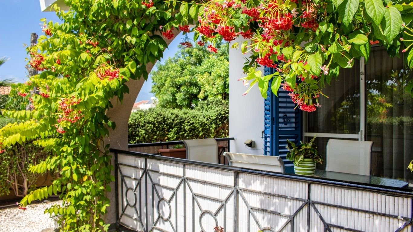 3 Bedroom Bungalow with a pool in Kissonerga, Paphos